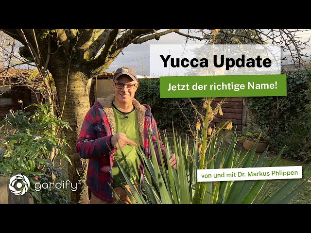 Yucca: Correction to the name