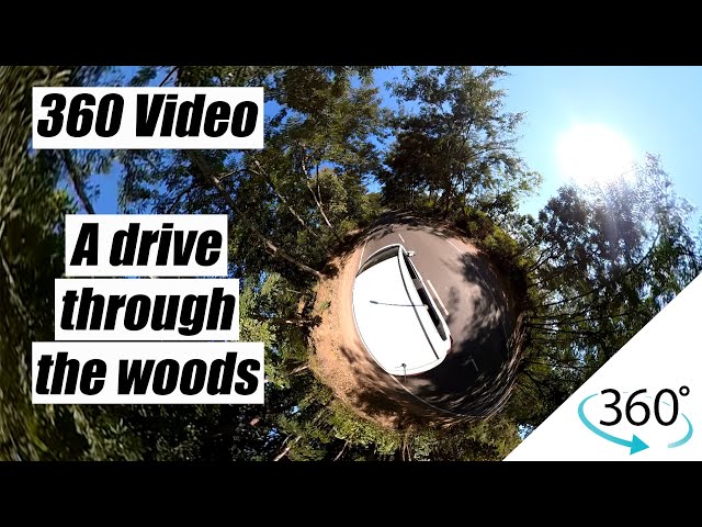 360 Video - Road Trip - A drive through the woods - Insta360 One X2