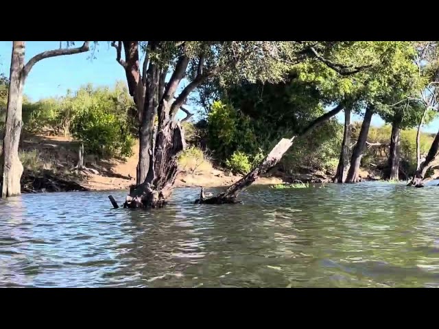 Africa Safari through Boat Cruise Part 2/3 (with Tour Guide), Botswana 🇧🇼