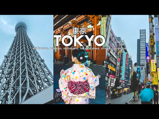 Tokyo Vlog | shinkansen, asakusa, akihabara, shinjuku, tokyo skytree, teamLab planets | Japan Travel