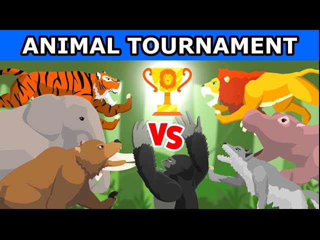 Animal Tournament Fights | Animal Tournament [S1] | Animal Animation