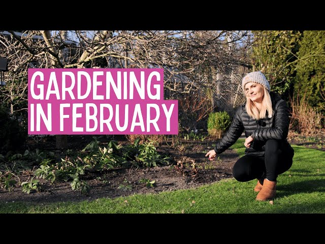 February Gardening – What to Prune, Sow, and Prepare? Winter Garden Care!