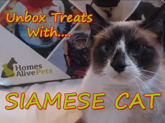 Unboxing Surprise Pet Store Treat Bag With Snowshoe Siamese Cat - Playtime & Taste Test! Dogs & Cats