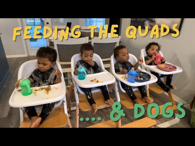 DAY IN THE LIFE: FEEDING THE QUADS