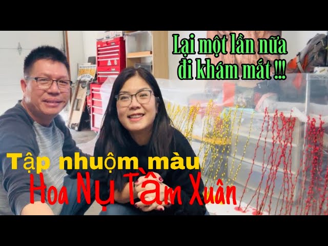 138.Tập nhuộm màu Hoa Nụ Tầm Xuân. Lại một lần nữa đi khám mắt, bắt buộc đeo kính mát khi trời nắng