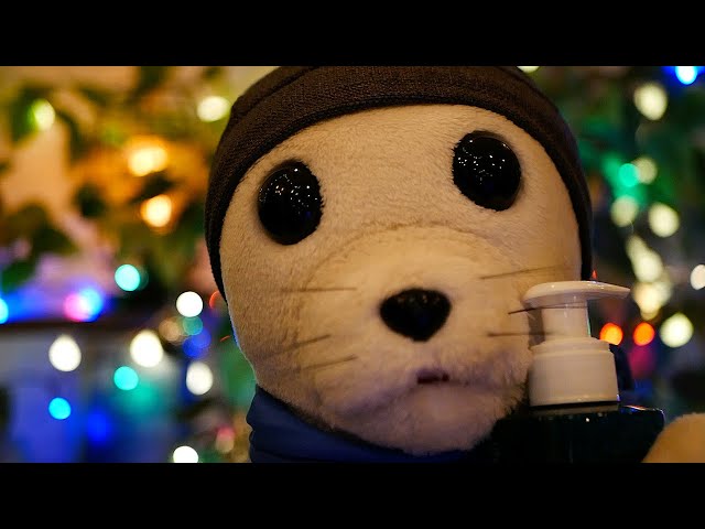 ASMR Holiday Facial Care   Cozy Seal’s Gentle Touch & Festive Relaxation