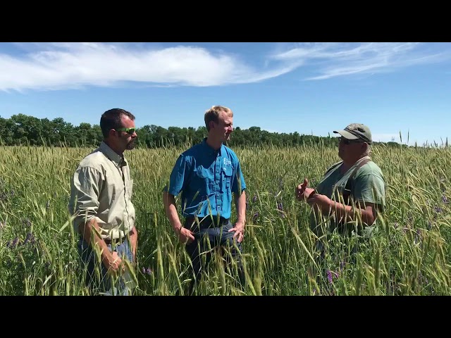 🌻 Gabe Brown’s Most Profitable Crop & Understanding Regenerative Agriculture