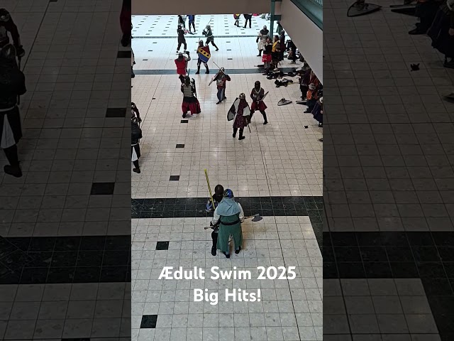 Big hits at Ædult Swim 2025! #fighting #fight #sca #mysca