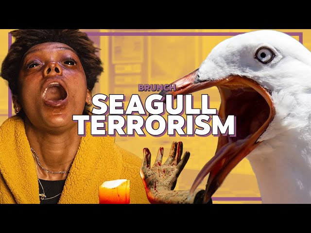 SEAGULL TERRORISM: 'Talk To Me' review, 'Saw X' trailer, vicious seagulls