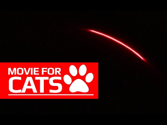 MOVIE FOR CATS - REALISTIC LASER TOY (ENTERTAINMENT VIDEOS FOR CATS TO WATCH)