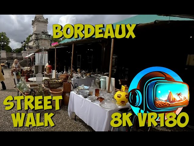 17 Bordeaux France markets full of antiques & oddities at Place des Quinconces 8K 4K VR180 3D Travel