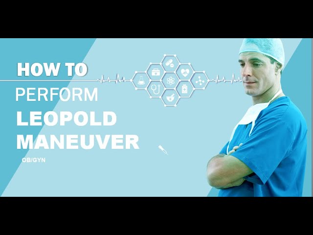 HOW TO PERFORM LEOPOLD'S MANEUVER| OB/GYN     #leopoldmaneuver