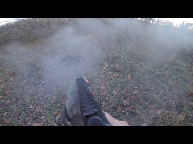 Hunting pigs with an AK-47