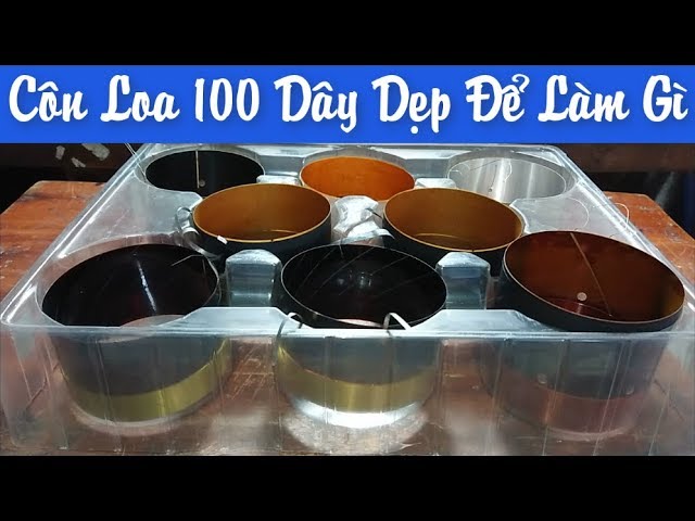 Tại Sao Loa Full Coil 100 Lại Không Sáng Tiếng