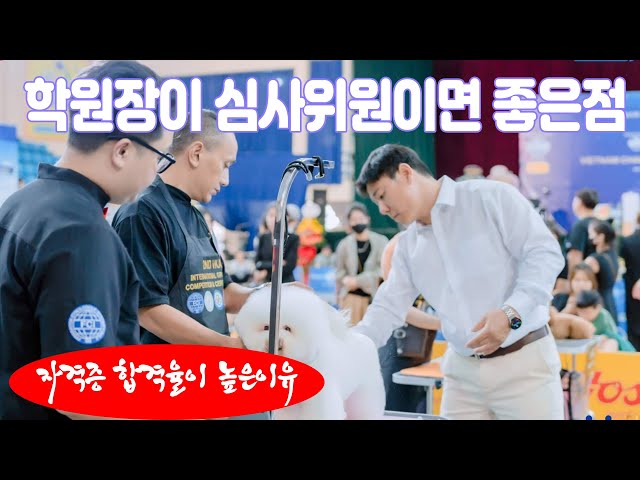 092 #김재용아카데미(애견일타강사) - 애견미용학원 원장이 반드시 유능한 심사위원이어야 하는 이유.