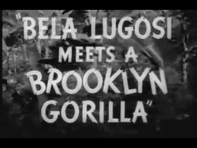 Comedy Horror Movie (Mad Scientist) - Bela Lugosi Meets A Brooklyn Gorilla