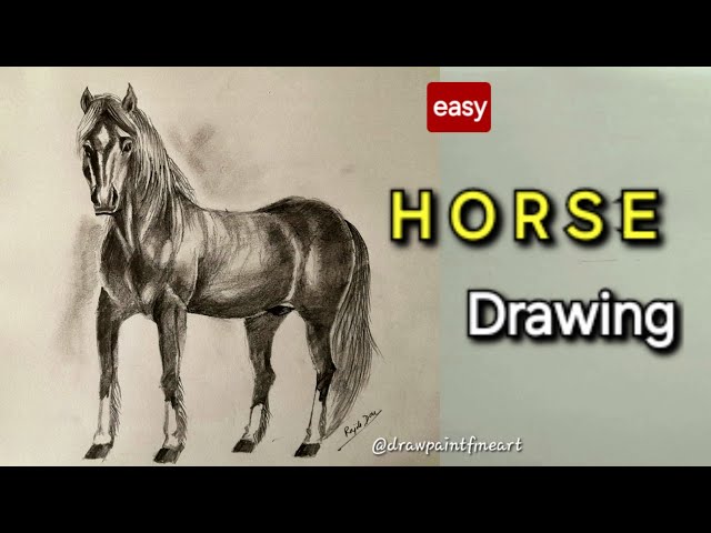 EASY Horse Drawing Tutorial | SIMPLE Sketch