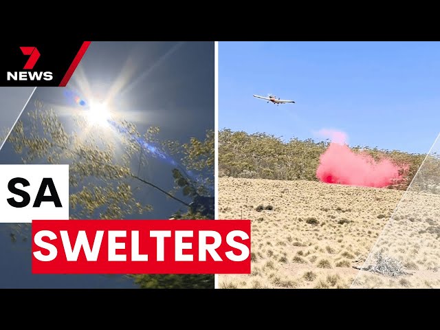 South Australia on high heat alert: 43C forecast for Adelaide | 7NEWS