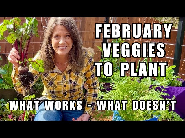 11 Vegetables to Plant in February: What Works, What Doesn’t