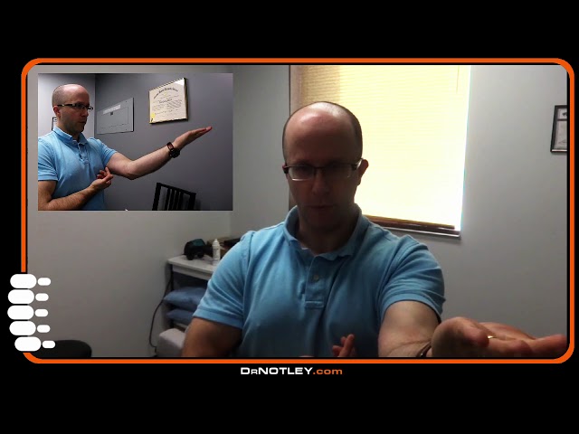 Elbow Circles (CARs) - Dr Notley - Dr Notley Chiropractor and Athletic Therapist, in Winnipeg,