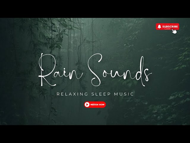 🌿 Relaxing Birds Chirping & Rain Sounds | 1 Hour of Nature Sounds for Sleep, Study & Relaxation