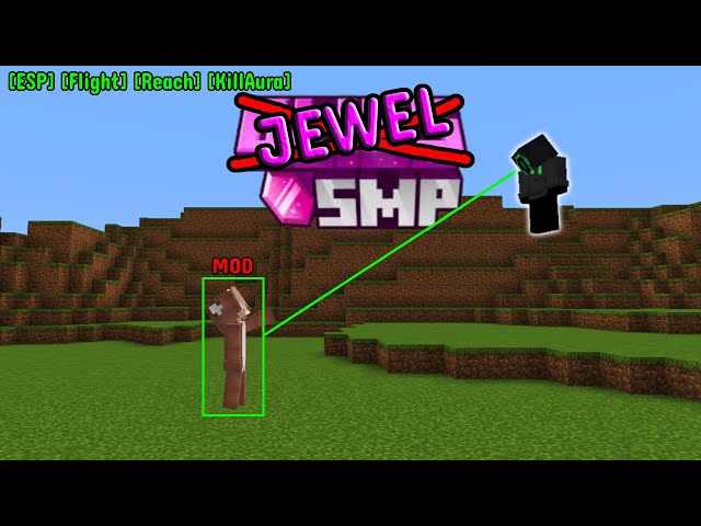 How I Took Over This Bliss SMP Clone (By Legitimate Means)