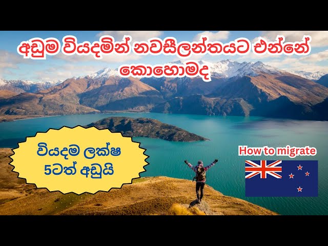 නවසීලන්තයට අඩුම වියදමින් එන්නේ කොහොමද? How to Migrate to New Zealand