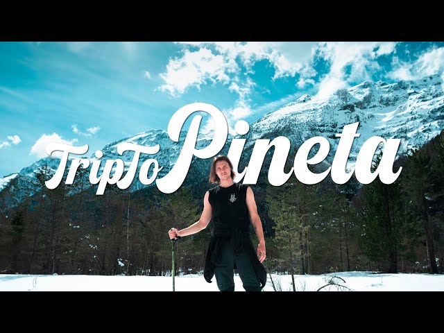 Trip to Pineta | sitosingular