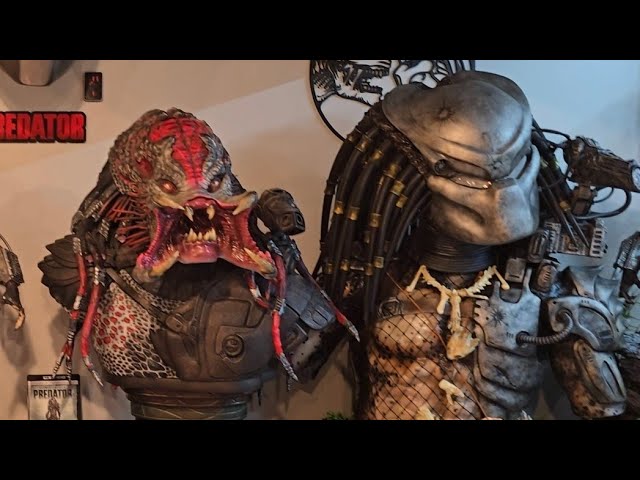 Sideshow Berserker Predator life-size bust Review