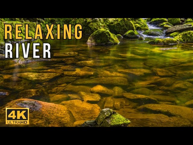 Relaxing Music with Water Sounds for Stress Relief 🌿 Relieve depression