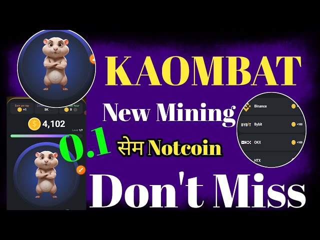 How to earn money from airdrop | Kombat new mining project | hamster kombat mining