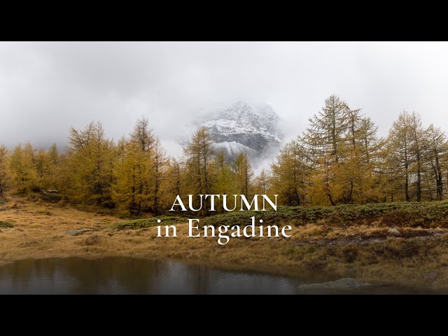 Chasing Autumn in Engadine, Switzerland