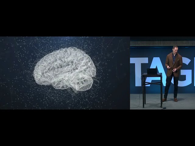 Keys to Brain Plasticity - Research Presentation 2024 (in Finnish; English subs)