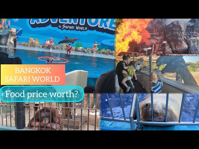 Safari world Bangkok with lunch buffet |  Detailed Thailand tour guide | Must visit place Bangkok 🇹🇭