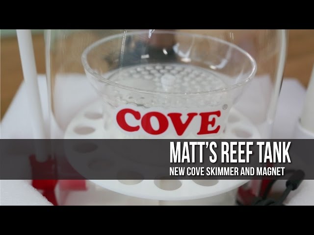 MATT’s REEF TANK | NEW COVE SKIMMER and MAGNET