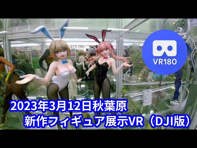 [VR180 3D] Akihabara new figure exhibition on March 12, 2023 in VR (DJI Action2)