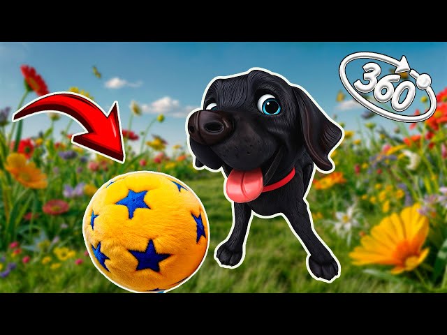 Find the Ball: A Fun 360 VR Quest with Max / Help Find the Lost Ball in 360 VR! / 360VR Video