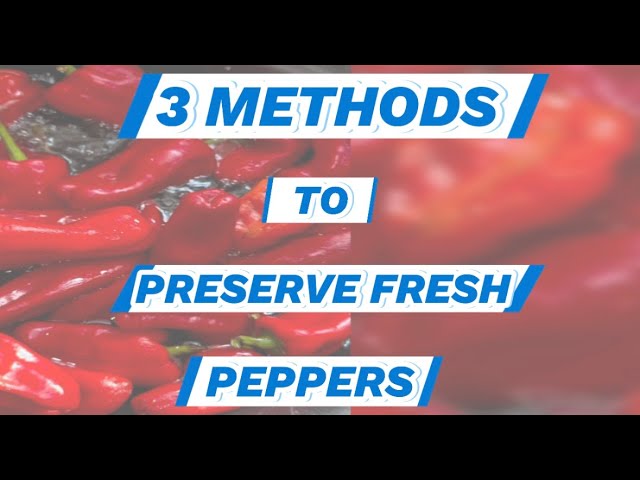 How to preserve fresh peppers