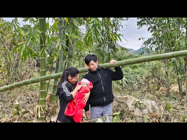 kind man: helping single mother cut bamboo to prepare to build a new house