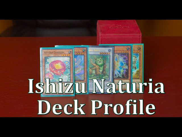 Ishizu Naturia Decklist for Tear 0 format