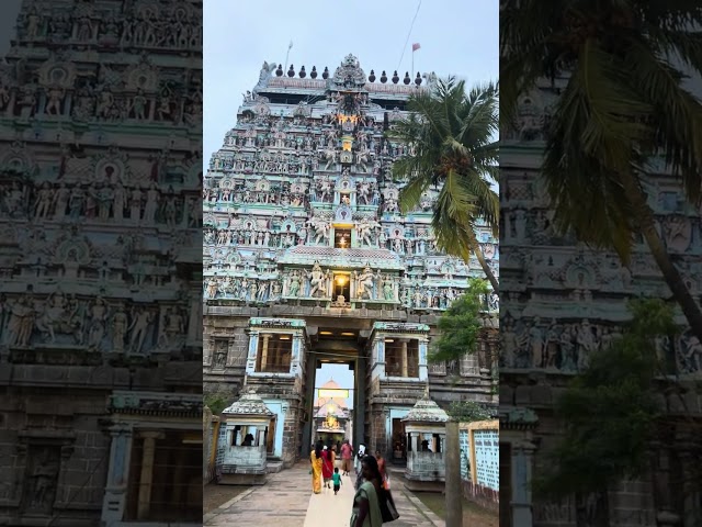 Nataraja Temple, Rajagopuram Chidambaram #shorts #ytshorts #tenkasi #viralshorts #natarajartemple