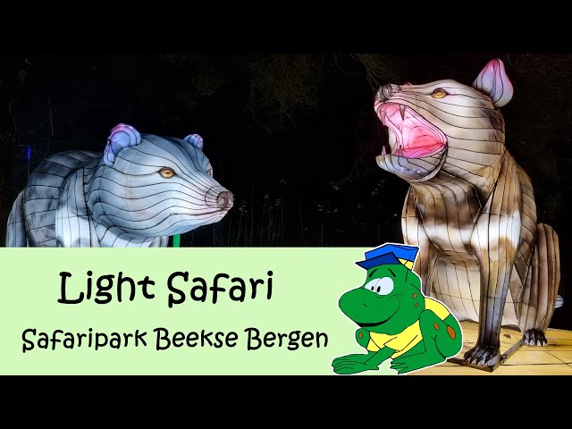 Light Safari, Safaripark Beekse Bergen 2024-2025