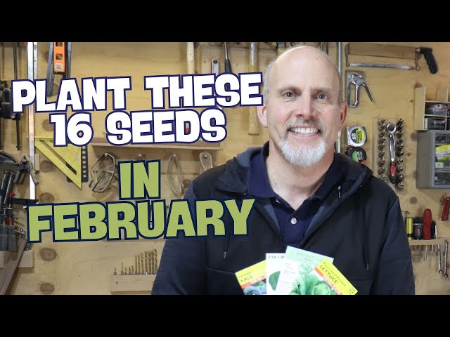 16 Seeds to Start Indoors in February