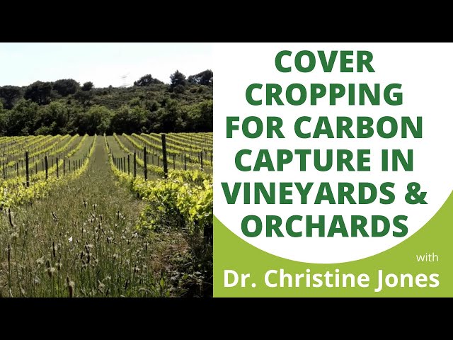 "Cover Cropping for Carbon Capture in Vineyards and Orchards" with Dr. Christine Jones (Part 4/4)