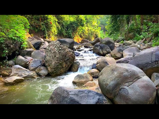 Meditation & Sleep Aid: Gentle River Ambience