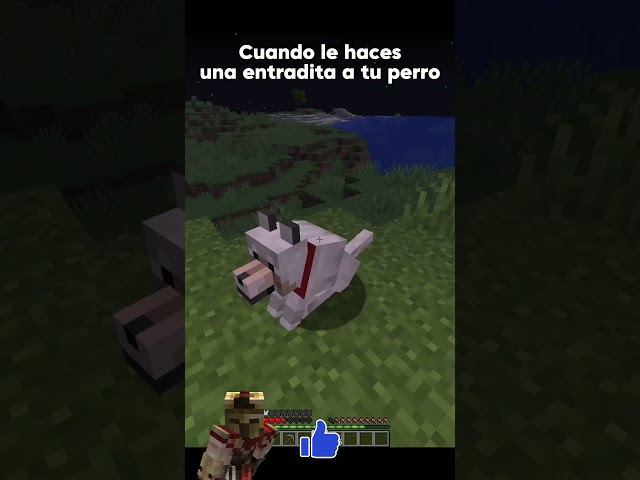 Hice una entrada a mi perro #minecraft #minecraftmemes #fyp #viralshorts #viralreels #tendencias