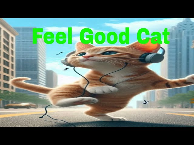 Cat Lovers TV 😍 Feline love story #music #cat #cats #shorts