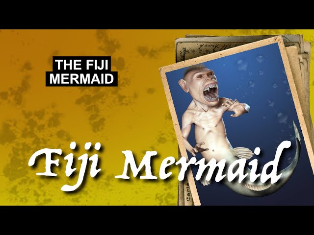 The Fiji Mermaid