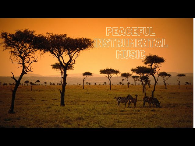 Calm instrumental music with African nature and culture | Salikhov Relax