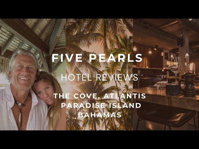 The Cove Atlantis Paradise Island Bahamas - Hotel Review 🏩🦈😎 #dolphin #shark